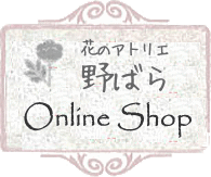 btn_onlineshop.gif