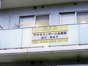 aura3.jpg